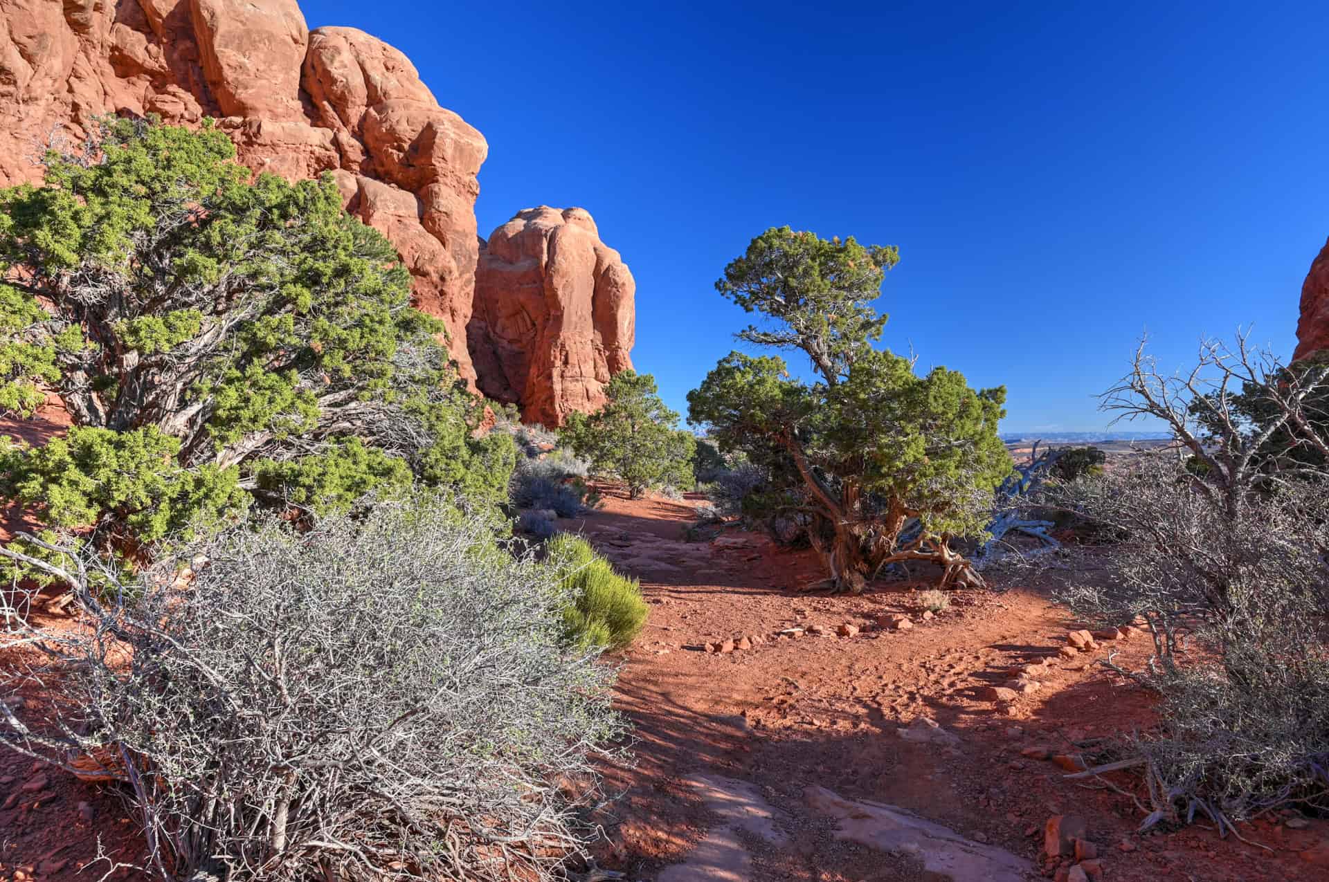desert views along the windows primitive trail