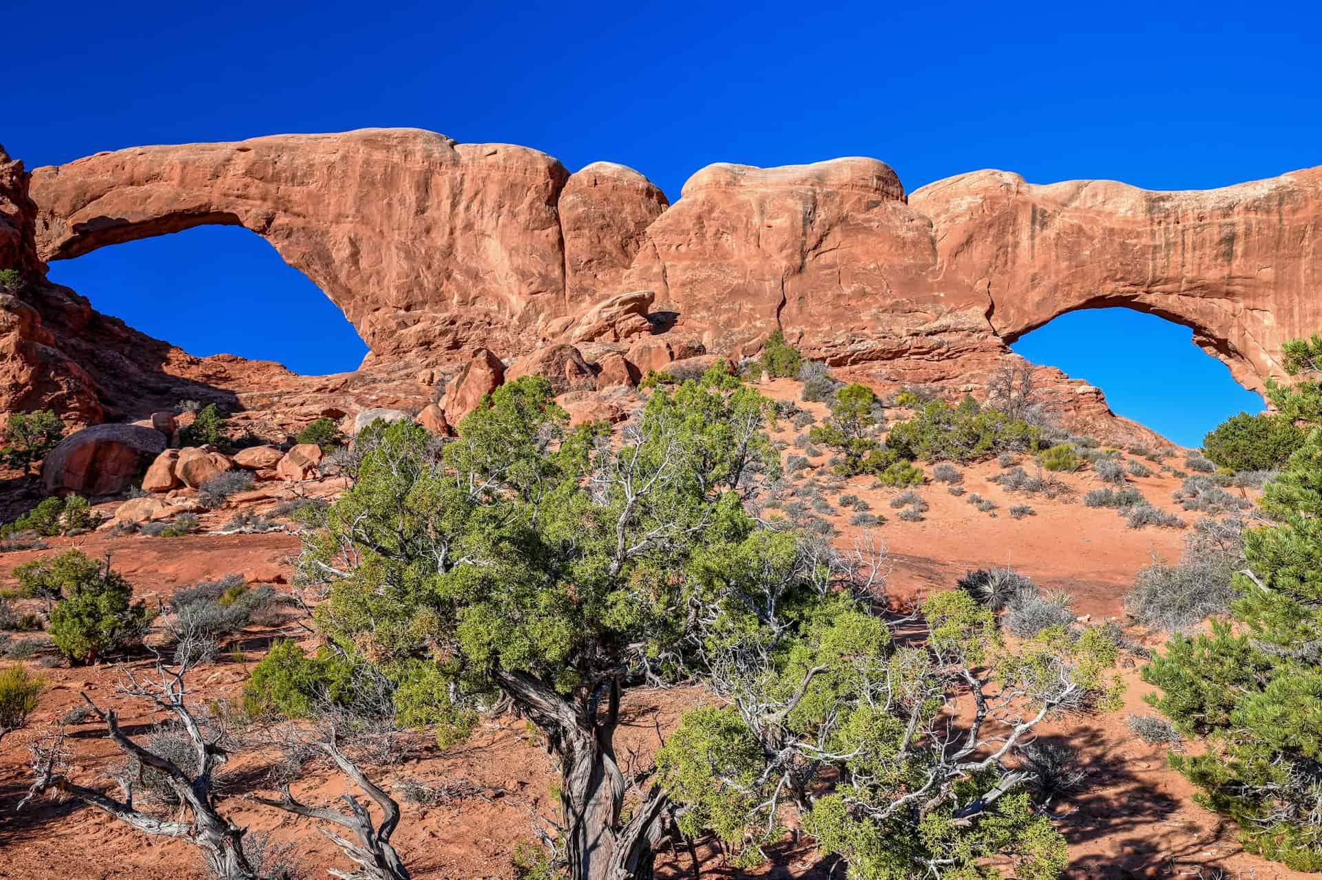 the north and south window in arches national park