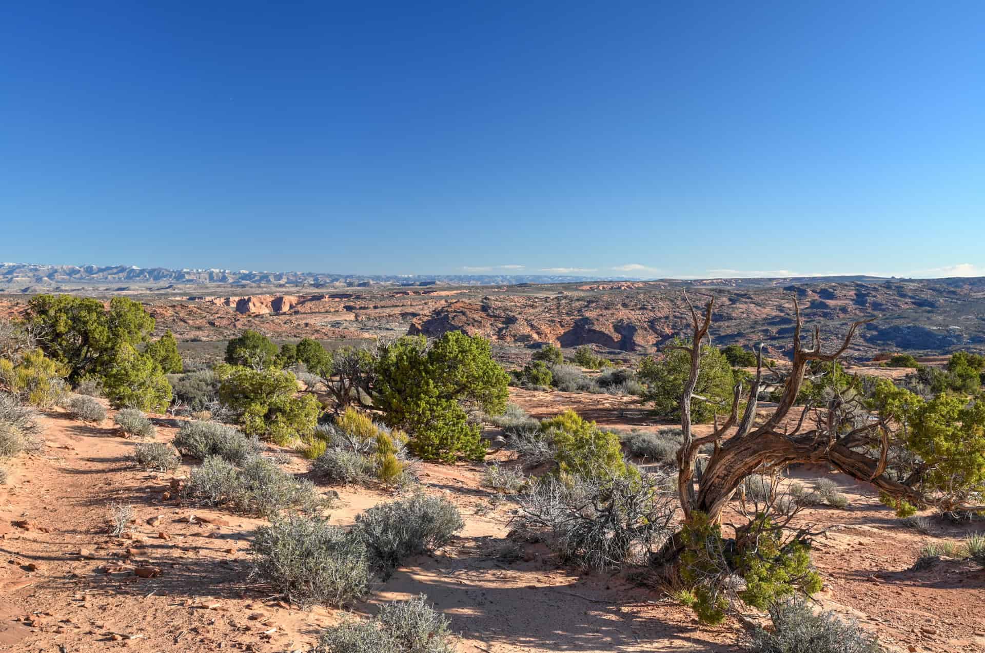 view from the windows primitive loop trail