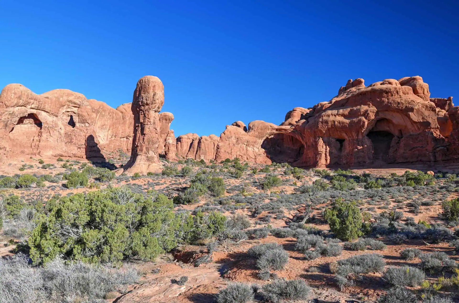 double arch trail in arches national park