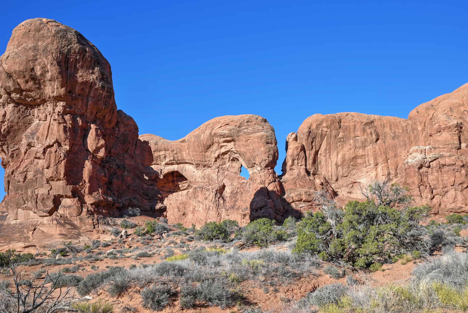 elephant arch along the windows trail