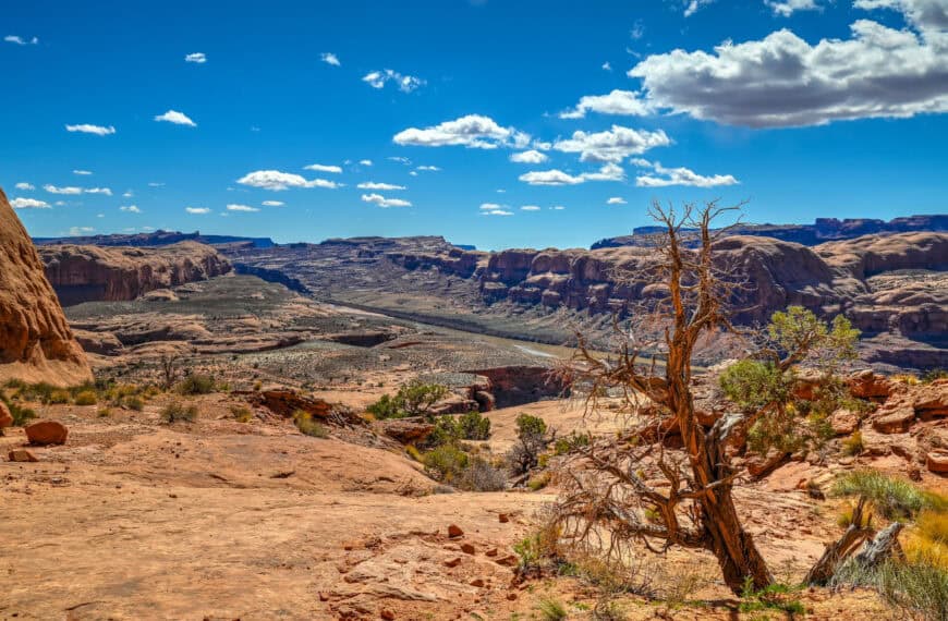 pinto arch trail near moab
