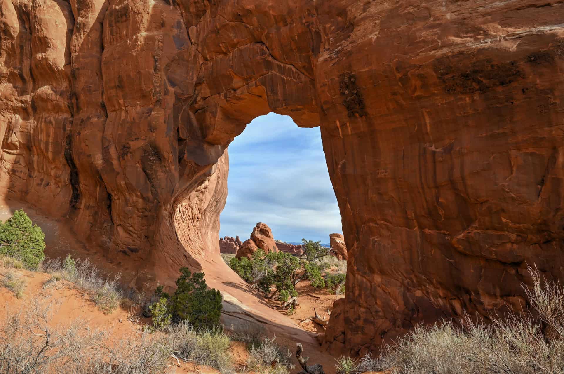 pine tree arch along the devil's garden trail