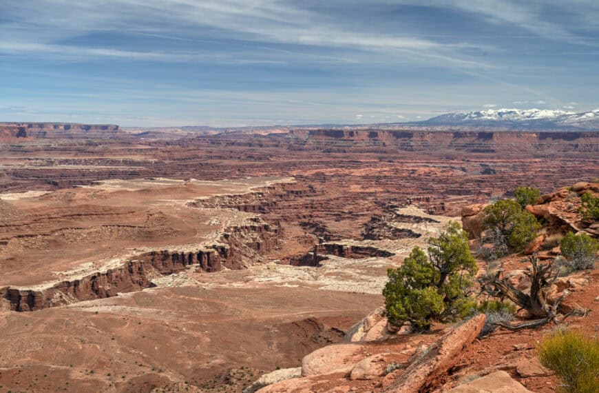 white rim canyon near moab