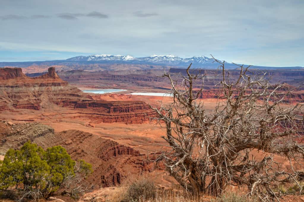 Dead Horse Point state park