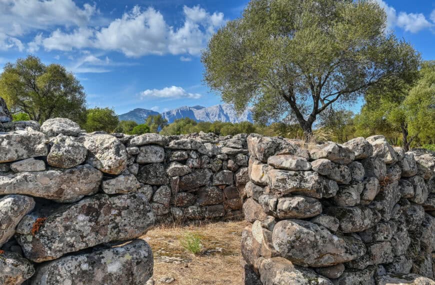 Villaggio Nuragico di Serra Orrios