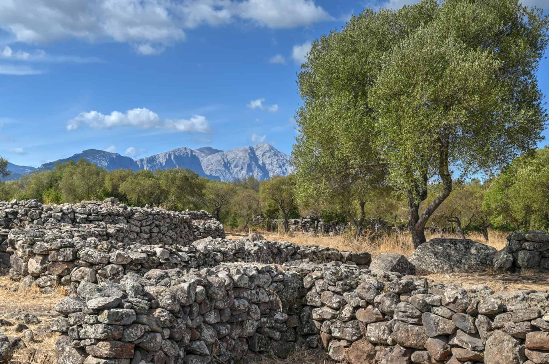 the stunning natural setting and ruins of serra orrios