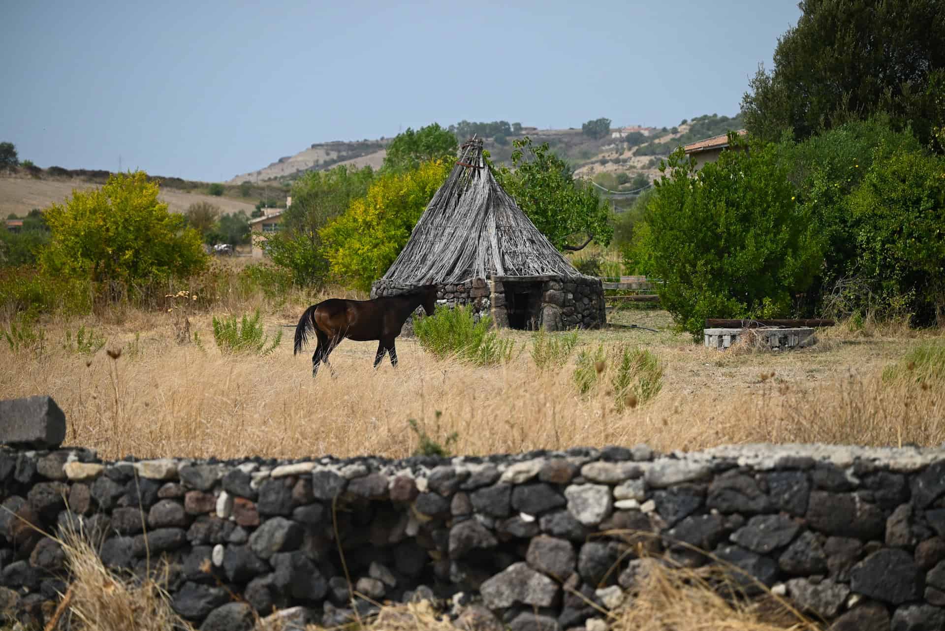 horse with shepard's hut