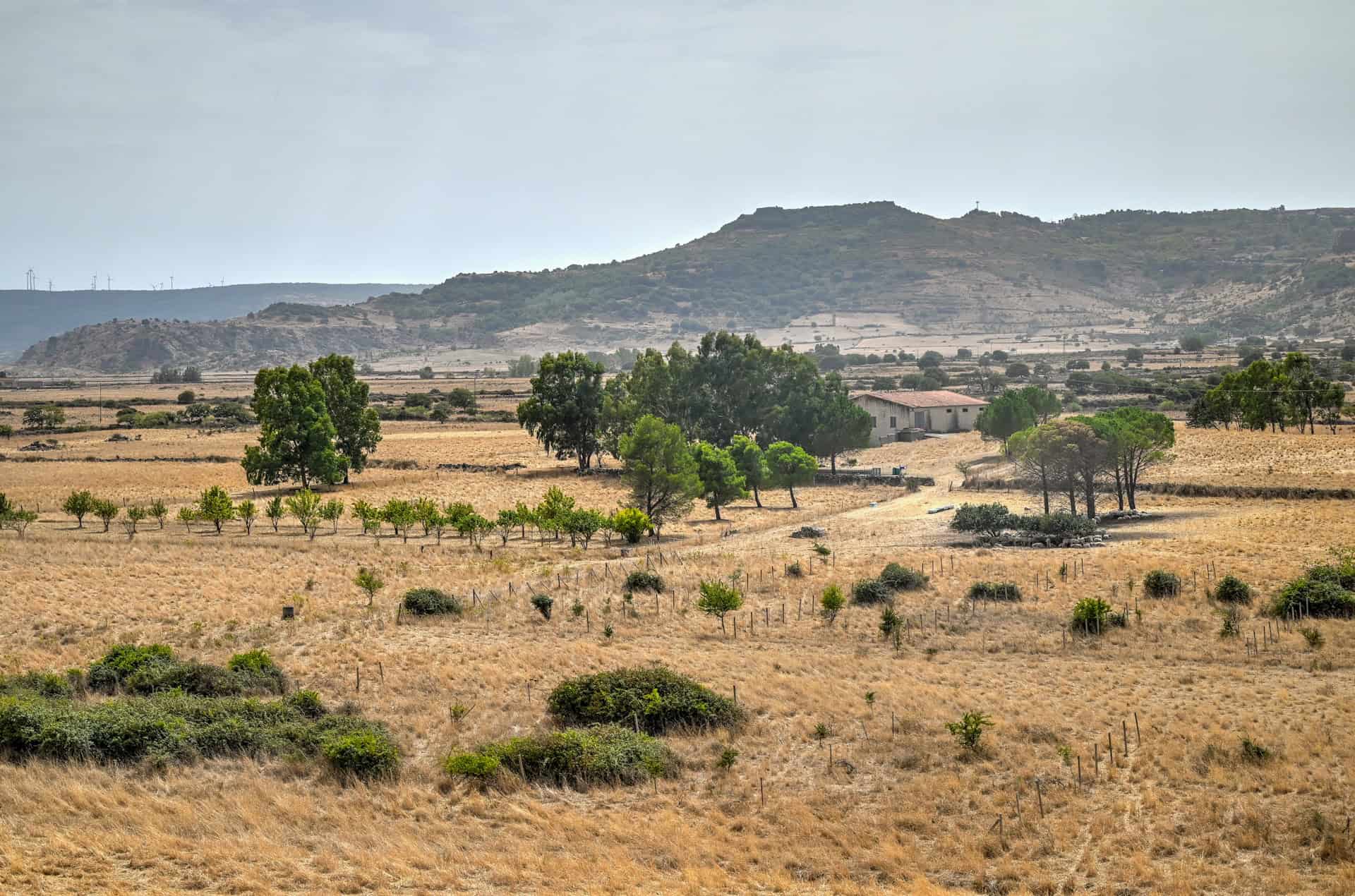 view fom the upper level of Nuraghe Santu Antine