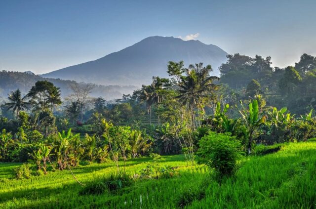 Bali Countryside  Bali, as beautiful as it is, sometimes gets a bad rap as an overhyped, overdeveloped and  overcrowded destination, especially in popular areas like Ubud and the southern beach towns.   While I agree that this is, at least in part, true, I also believe that there are however many beautiful off-the-beaten path places to discover where you can find some peaceful moments and some solitude.   These are two of our two favorite regions to enjoy some stunning scenery without the crowds:    📍Sidemen countryside and rice terraces (eastern Bali) (pics 1-6)  📍UNESCO Jatiluwih Rice Terrace (central Bali) (pics 7-10)  Although Jatiluwih is somewhat on the tourist circuit, we nonetheless had the place almost to ourselves when we visited last year.   *******************
.
.
.
.
.
#bali #sidemen #riceterrace #riceterraces #Jatiluwih #countryside #green #unesco #landscapes #landscapephotography #travelshots #travelpics #mountains #lushforests #discoverbali #indonesia #discoverindonesia #travelbali #traveldestinations